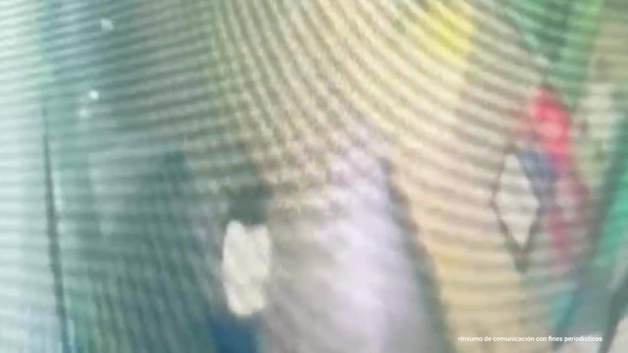 Capturan a mujer con explosivos en Ciudad Bolívar