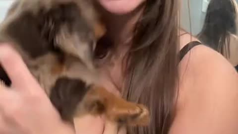sophie dance