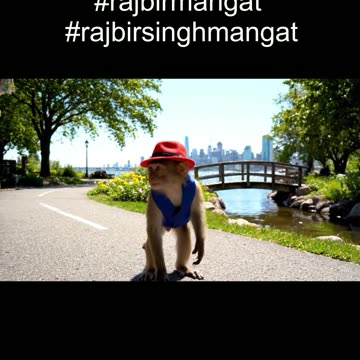 Blogger_Monkey_Tours_Toronto_Centre_Island