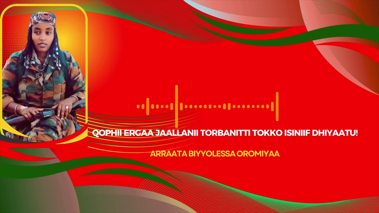 Qophii Ergaa Jaallanii ONM-ABO Fulbaana 21-2025 itti dhiyaadhaa!