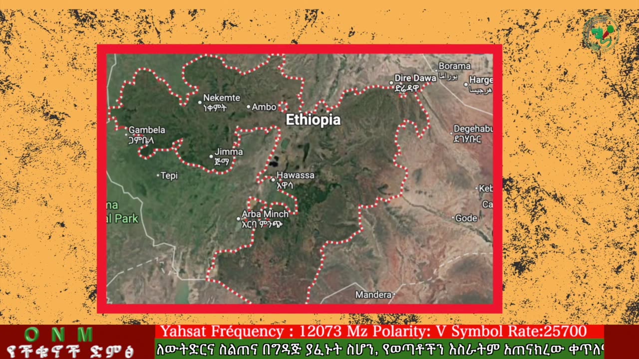 ነሐሴ 29-2025 ONM-ABO እለታዊ የኦሮሞ ነፃነት ሰራዊትና የኦሮሚያ ውሎ!