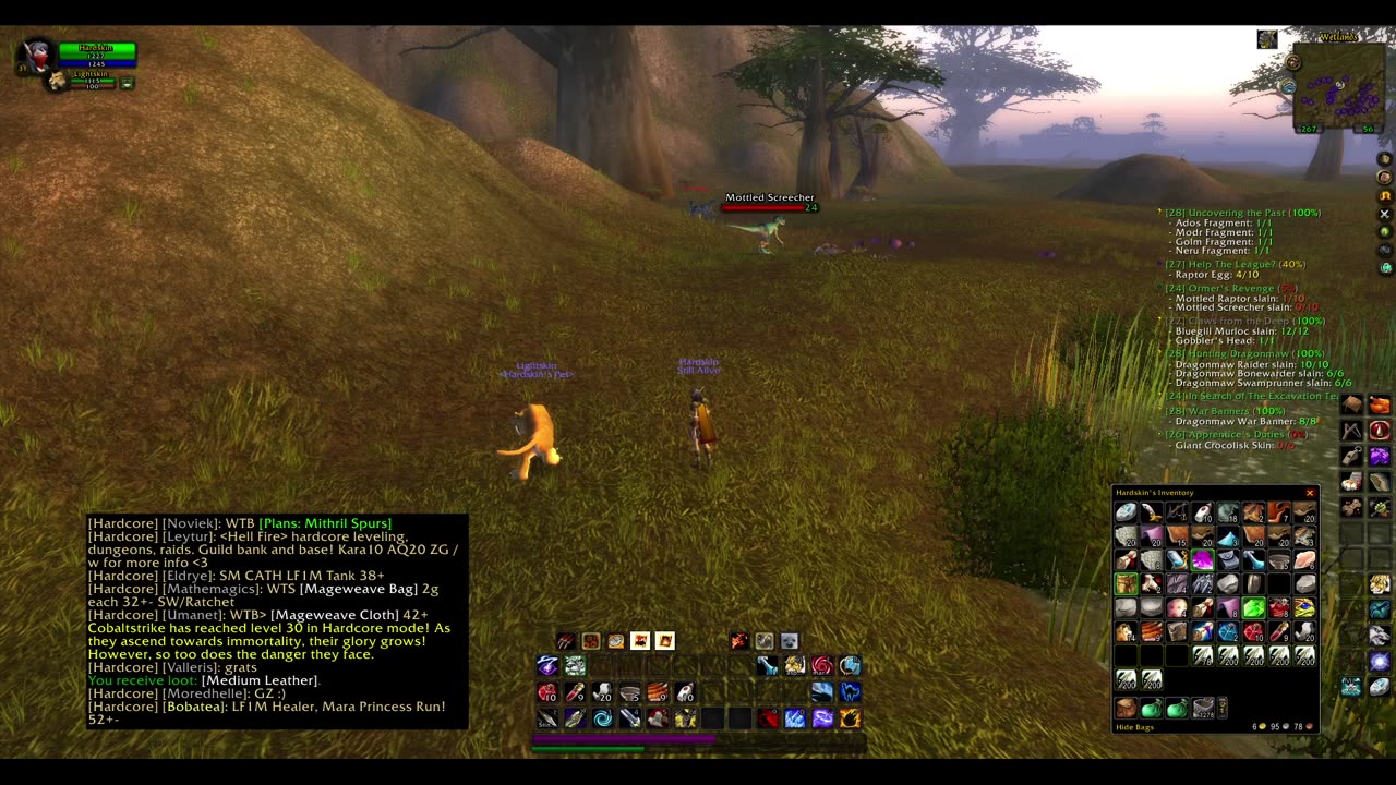 Turtle wow - Melee HC Slow and Steady Hunter - Part 47 - No commentary