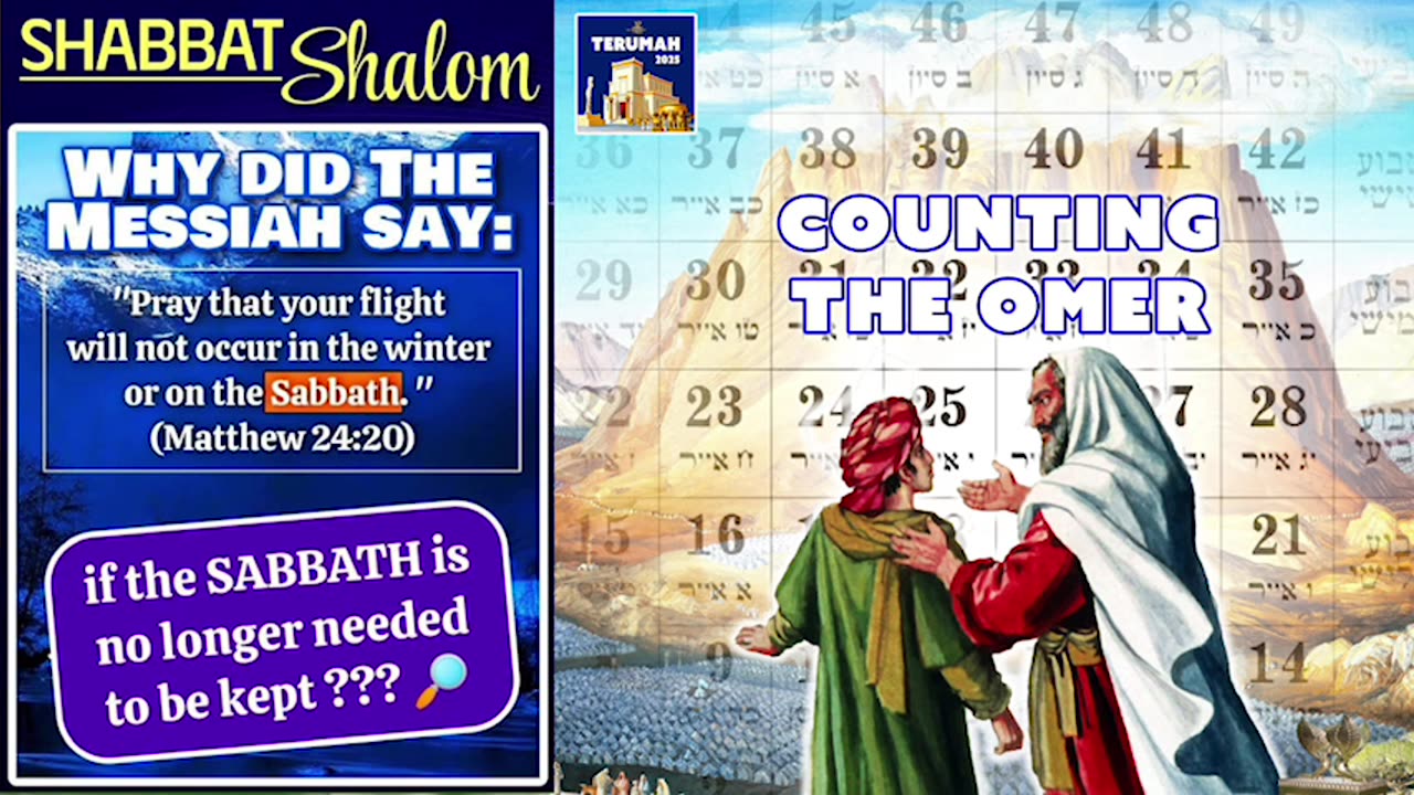 1 Chronicles 25; RSTNE Scripture Reading (Day 158) Bible on Audio; Omer 7