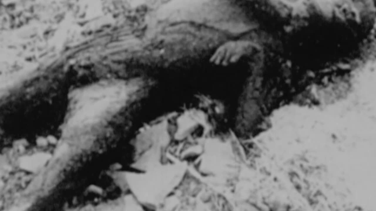 La bomba de Hiroshima, un mensaje nuclear a la URSS