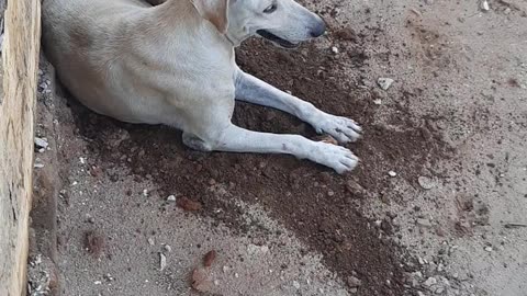 Procurando Lugar pra Dormir