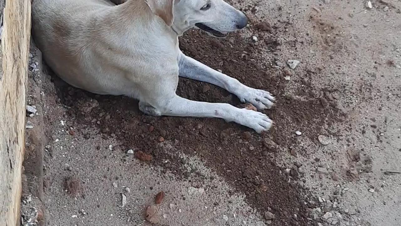 Procurando Lugar pra Dormir