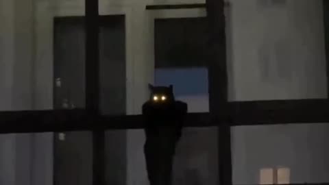 Tonight the city can sleep