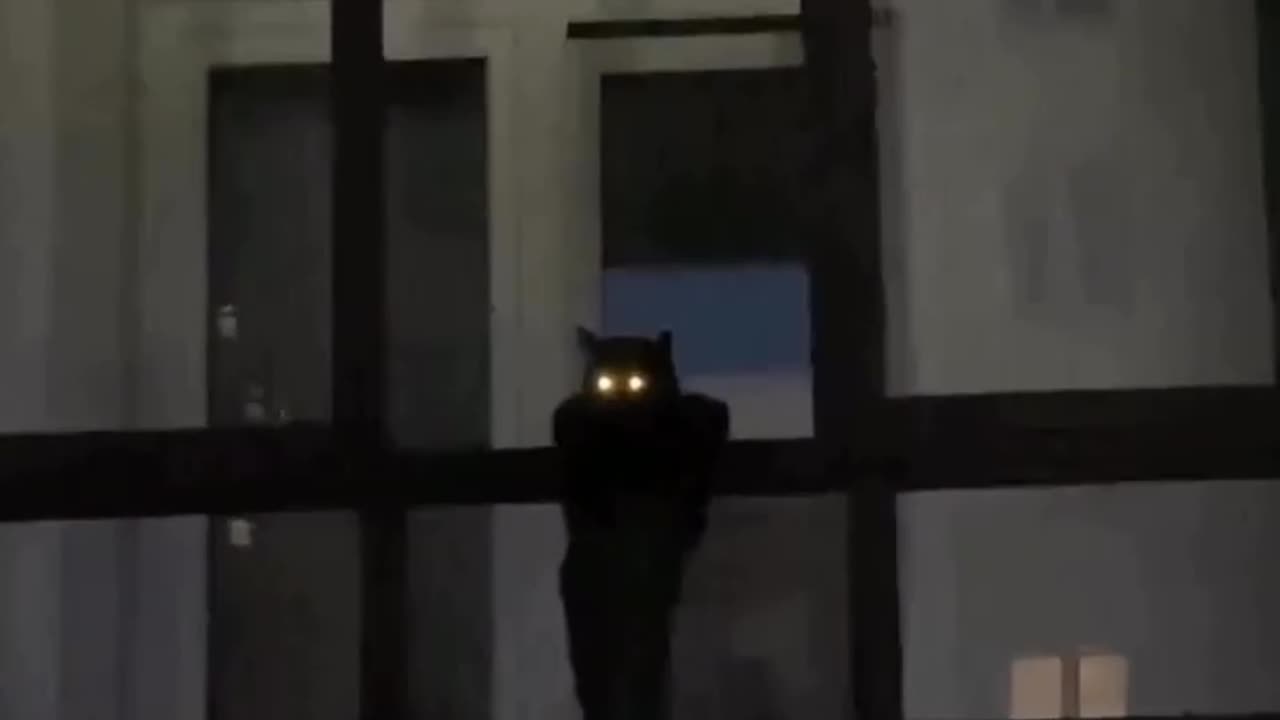 Tonight the city can sleep