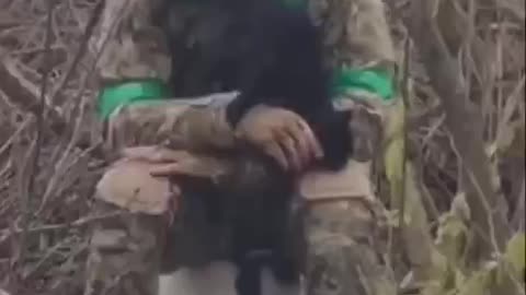 No One Returns from War, Even if It Doesn't Kill Them.