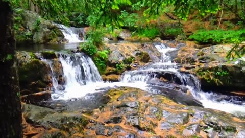 Cascades