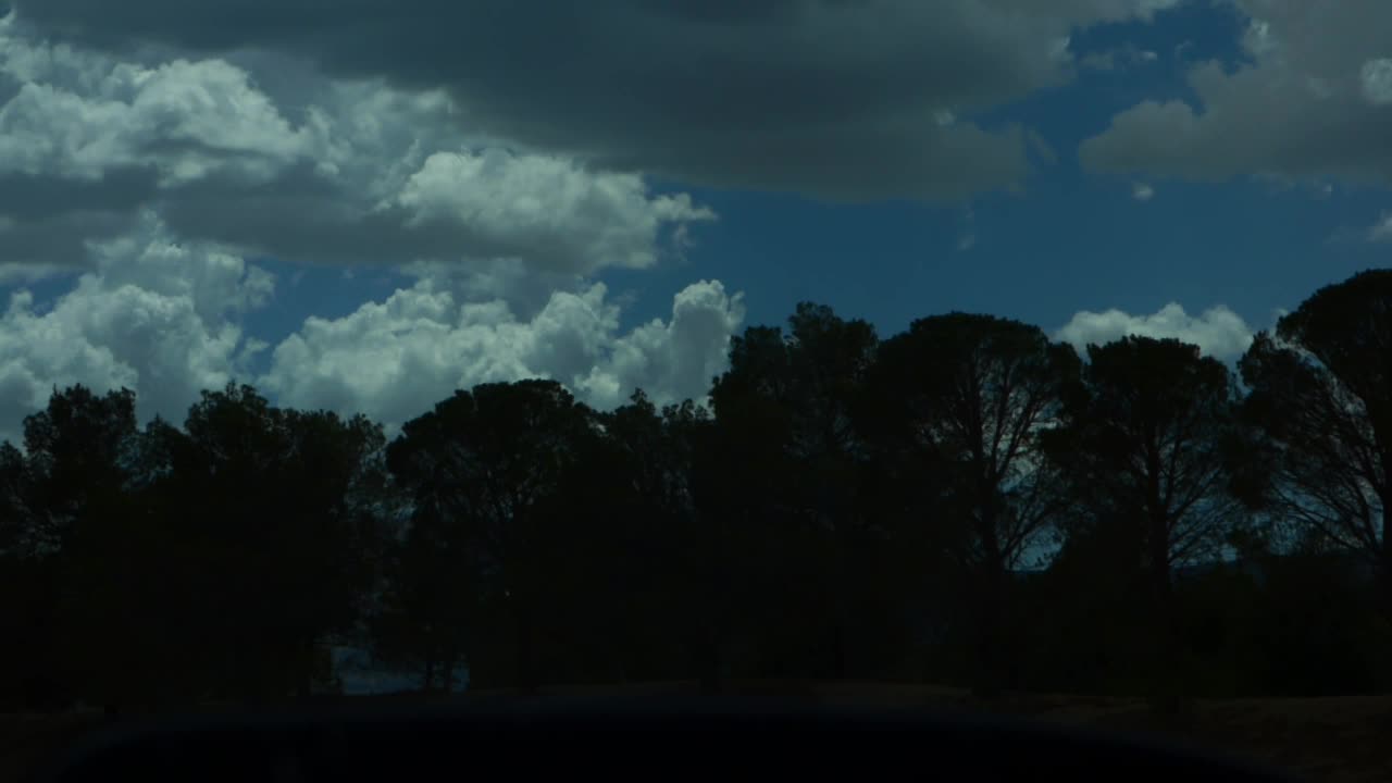 Solar tower through the trees