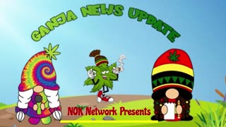 Ganja News Update Tonight