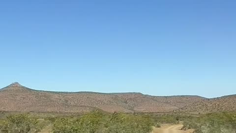 Why is culling necessary?