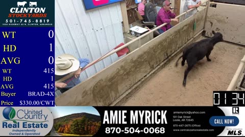 5/17/2025 - Cattle Auction - Clinton Stockyards