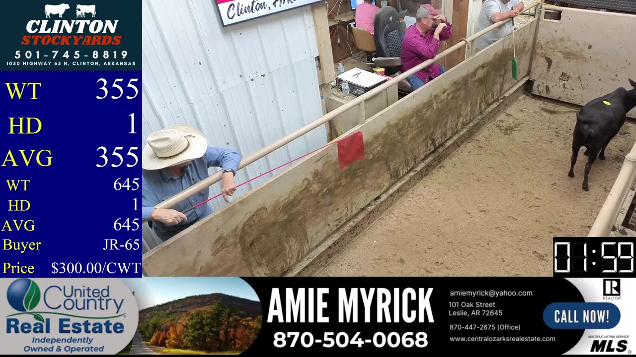 5/17/2025 - Cattle Auction - Clinton Stockyards