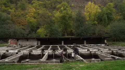 NARSHARAB - UNIQUE SAUCE, INVENTED AND WIDELY USED IN THE EXPANSES OF SUNNY AZERBAIJAN!