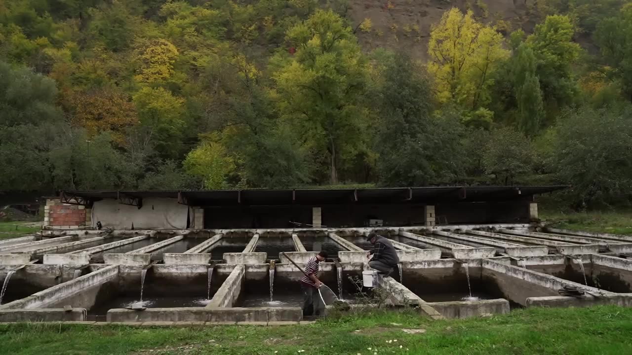 NARSHARAB - UNIQUE SAUCE, INVENTED AND WIDELY USED IN THE EXPANSES OF SUNNY AZERBAIJAN!