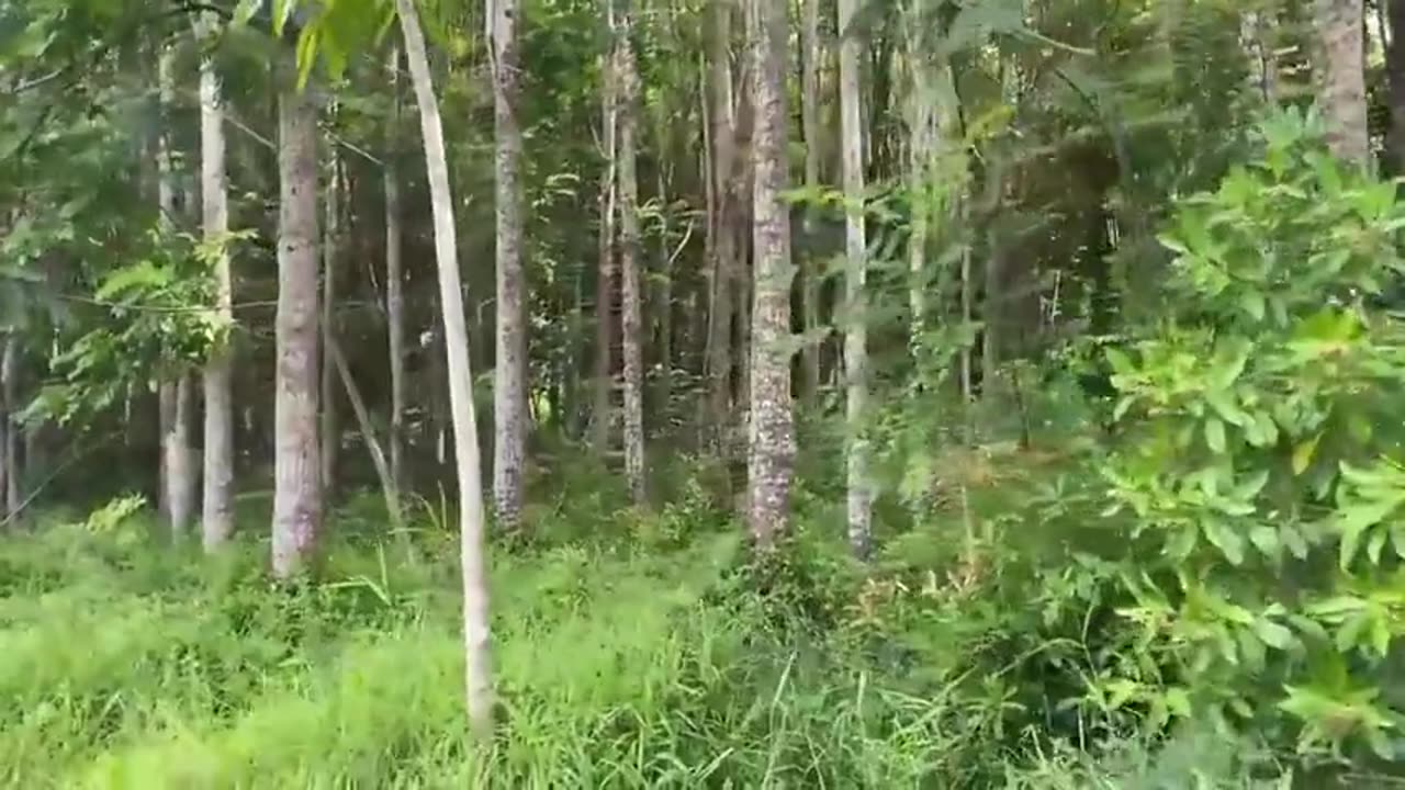 Terrain the Film Part 2