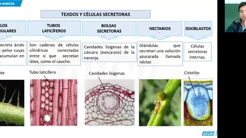 REPASO INTENSIVO ADUNI 2023 | Semana 04 | Biología