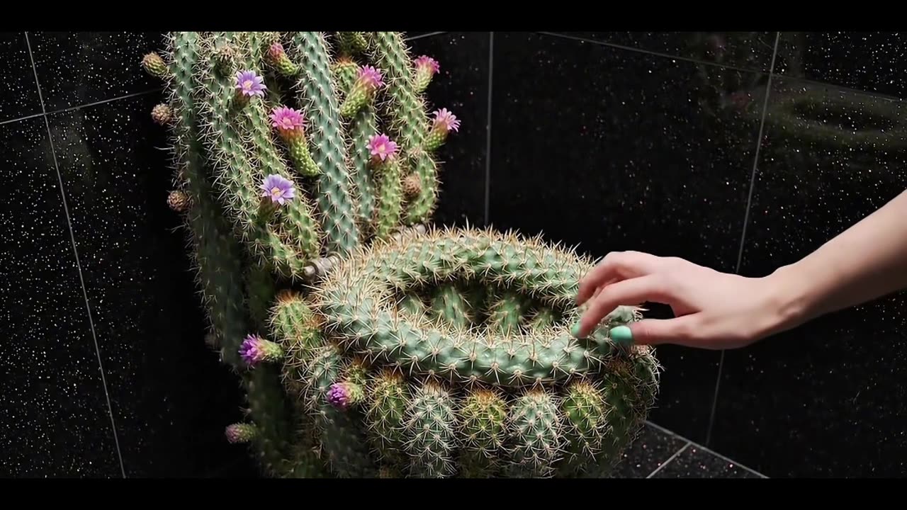 Cactus Toilet Is INSANE #catcus #toilet #viral