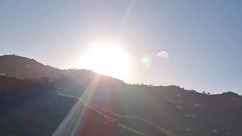 Good Morning Sunshine 🌞