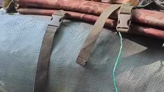 Ammunition inspection and provision stock check🐿️