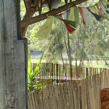 Nature, Birds and Life at Jaya Sanctuary