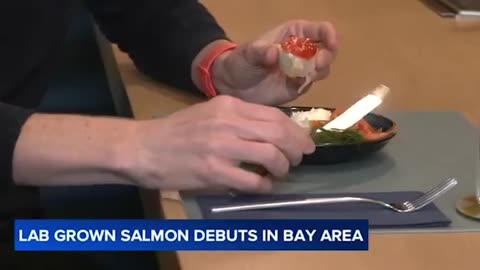 In addition to lab-grown butter and meat, now they're pushing lab-grown salmon—