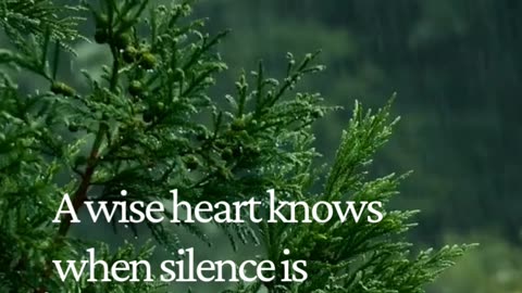 The Power of Silence: Why Saying Less Can Make You Win More