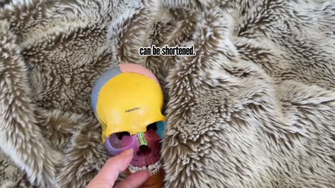 Mewing can sag your Face | Koko Face Yoga