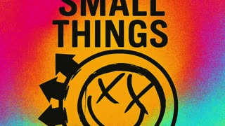 All the small things - Blink 182 Cover by Jayson Krause