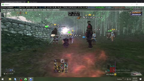 Playing Final Fantasy XI Online