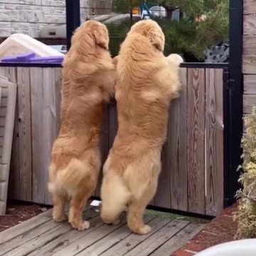 Imagine coming home to this.. 😊