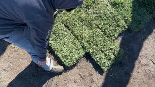How To Install Sod and Take Care Of It After