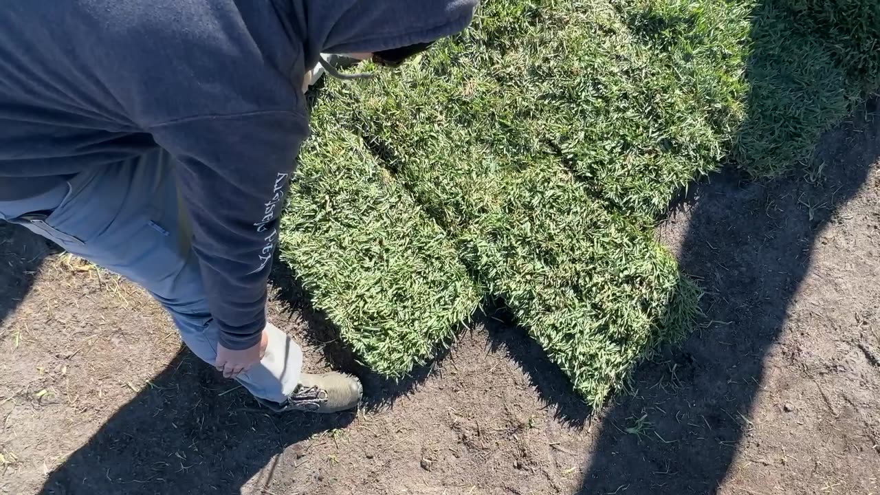 How To Install Sod and Take Care Of It After