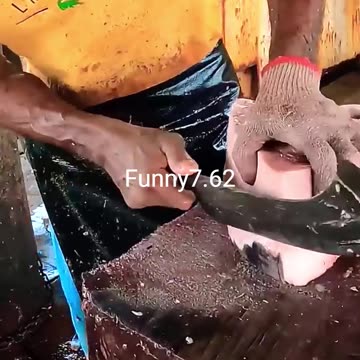 Omg! A big slice of fish 😱