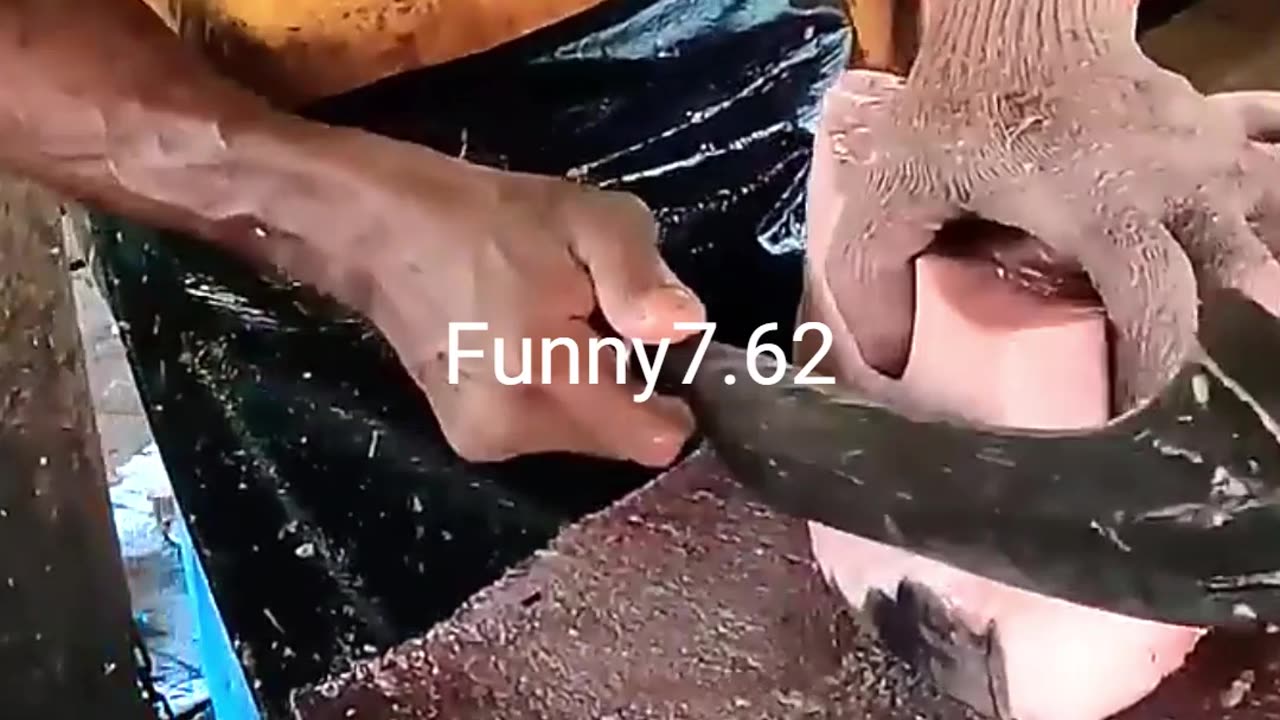 Omg! A big slice of fish 😱
