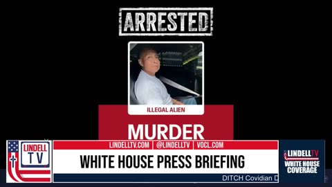 Mike Lindell Trial