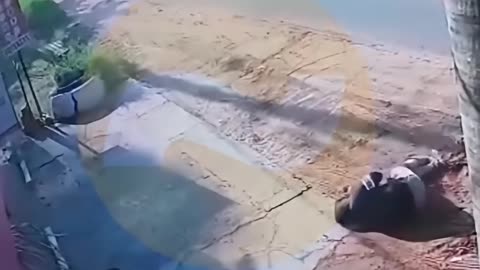 Robber thought he was free. He thought wrong.
