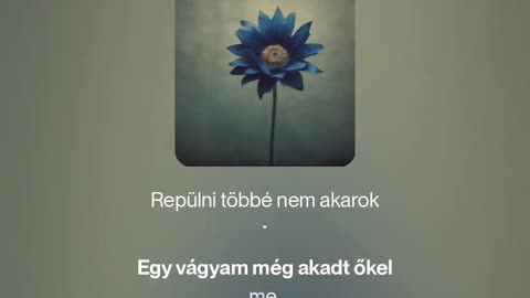 Az utolsó vágy (megzenésített vers)