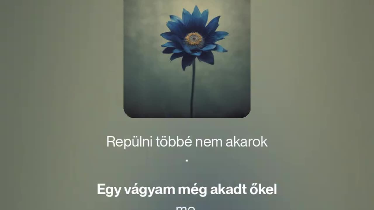 Az utolsó vágy (megzenésített vers)