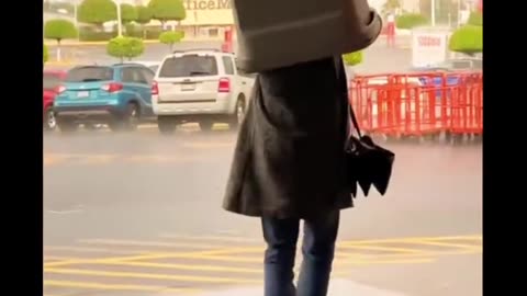 Funny videos
