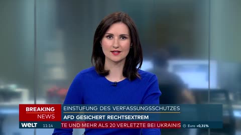☝🏻 Meinungsfreiheits-Nancy "begründet" warum nun die ganze AfD als "rechtsextrem" gilt