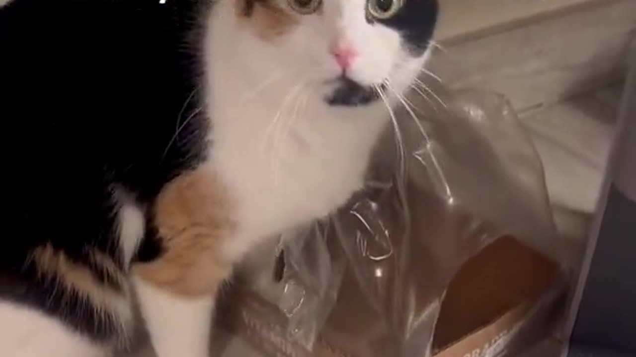 he 100% took that as a challenge