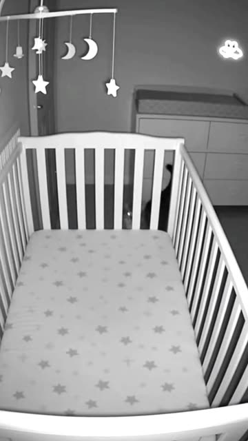 Baby and Cat Vanishing in seconds 😰 #RealFootage #babycat #cctvfootage