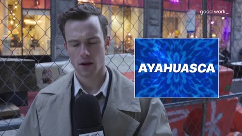 Will taking ayahuasca help you maximize shareholder value?