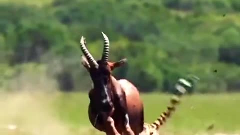 Jazakallah Subahanallah ♥️✨🕊️