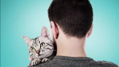 The Rise of the Cat Dad: Care, Charm, and Dating Cred