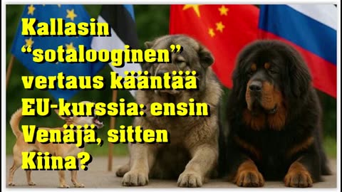 Kallasin sotalooginen vertaus kääntää EU-kurssia - ensin Venäjä, sitten Kiina