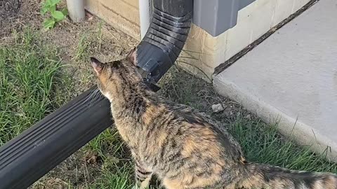 🤯🙏 Wait, Wait, Wait... What's Happening?! | FunFM
